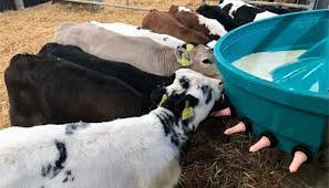 images 2024 02 27T003154.551 images 2024 02 27T003154.551