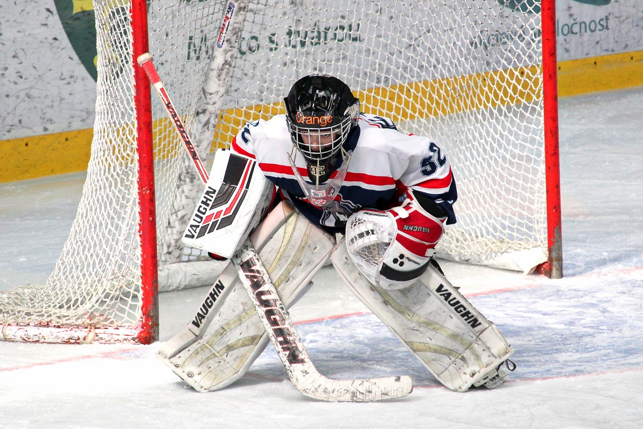 Franchise For Red Wing Skating : 5 Exciting Investment Opportunity