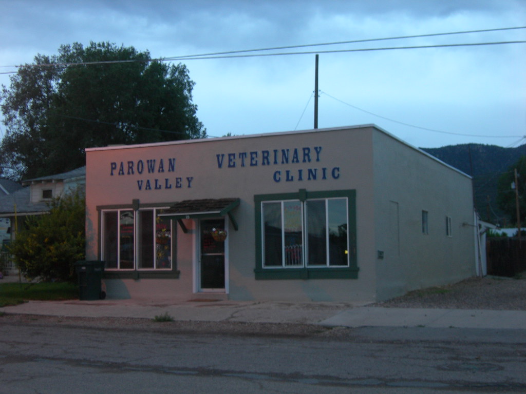 Indiana Vet Clinics For Sale : 5 Premier Listings