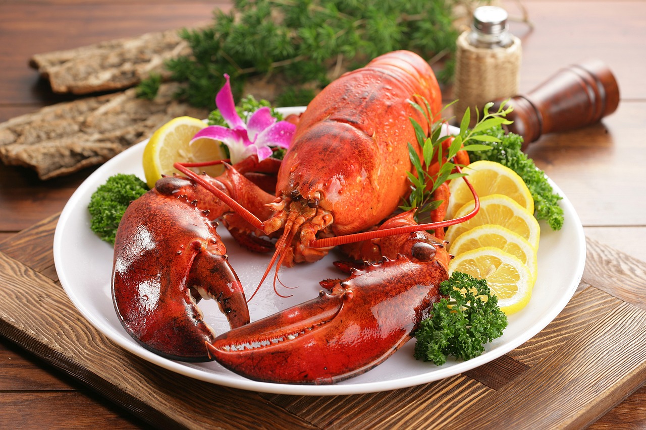 Maine Lobster Business : 5 Thriving Opportunities