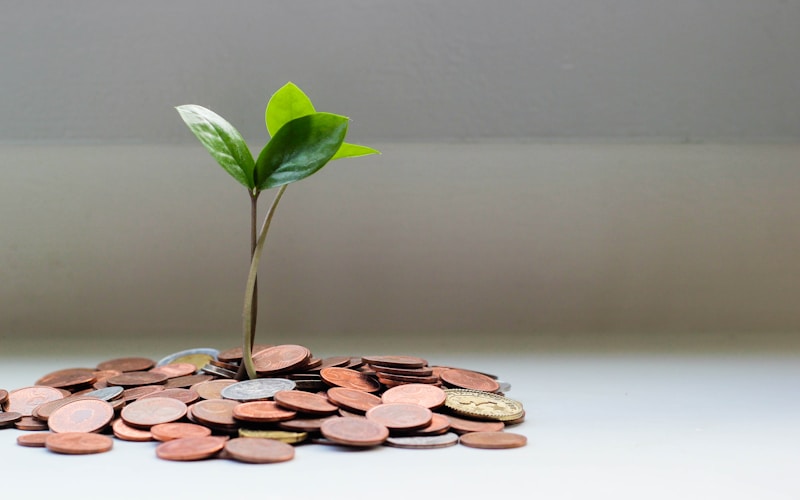 Financial advisor business for sale 2 Financial advisor business for sale investment planning