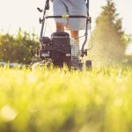 Landscaping &amp; Lawn Care Pro