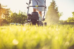 Landscaping &amp; Lawn Care Pro