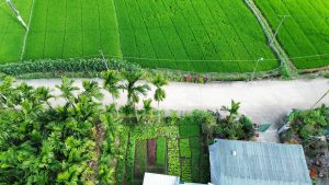 Organic Farm — 120 Acres 1 Organic Farm — 120 Acres