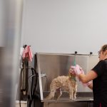 PetValu Express
