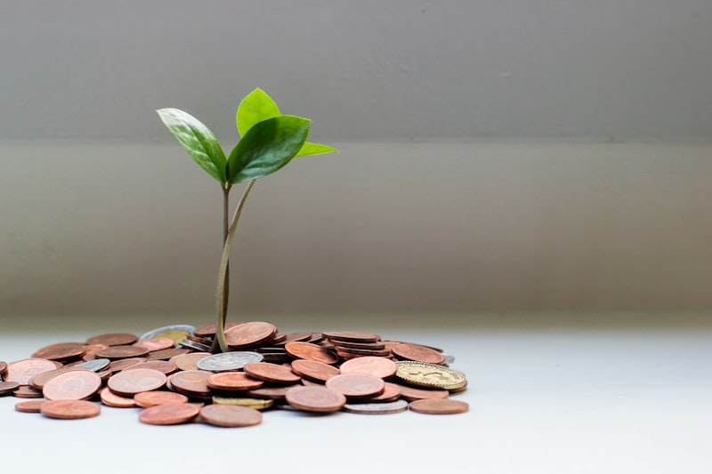 Financial Planning Business for Sale: Complete Buyer's Guide 2 Financial planning business for sale - investment growth and wealth management charts
