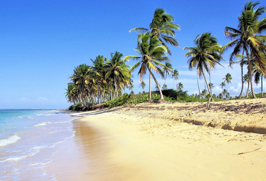 Business for Sale Dominican Republic: Best Investment Guide for 2026 3 Business for Sale Dominican Republic 3