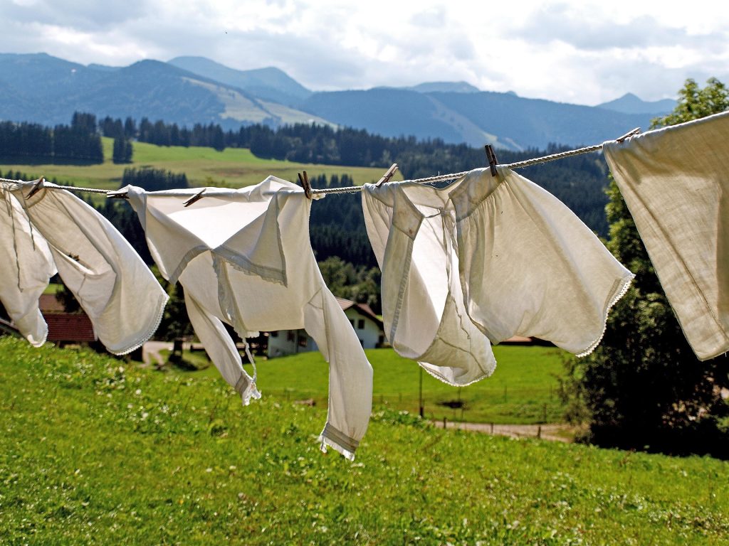 Coin Operated Laundry for Sale in 2026: The Smart Acquisition Guide 2 Coin Operated Laundry for Sale 2