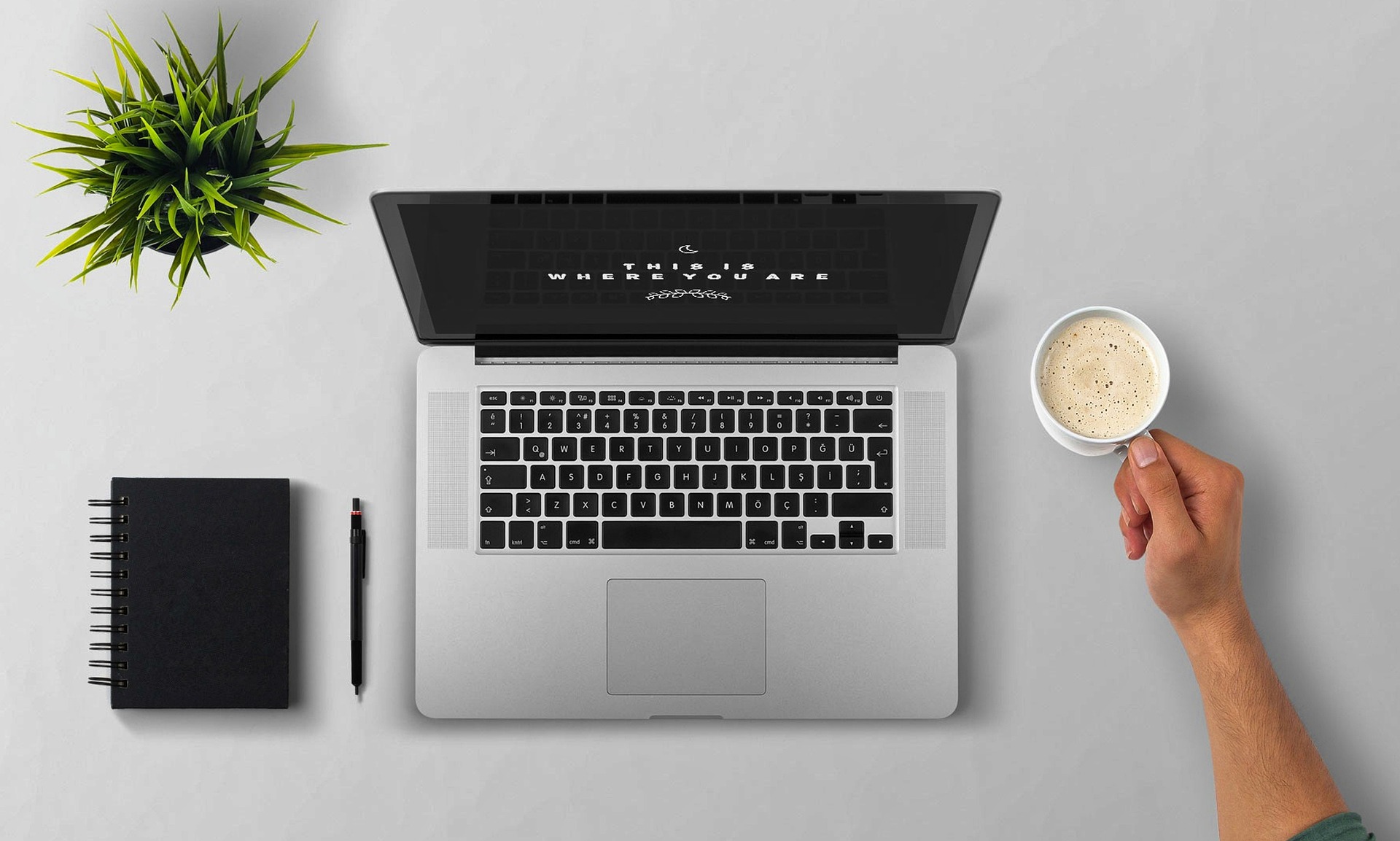 Online Business for Sale 2